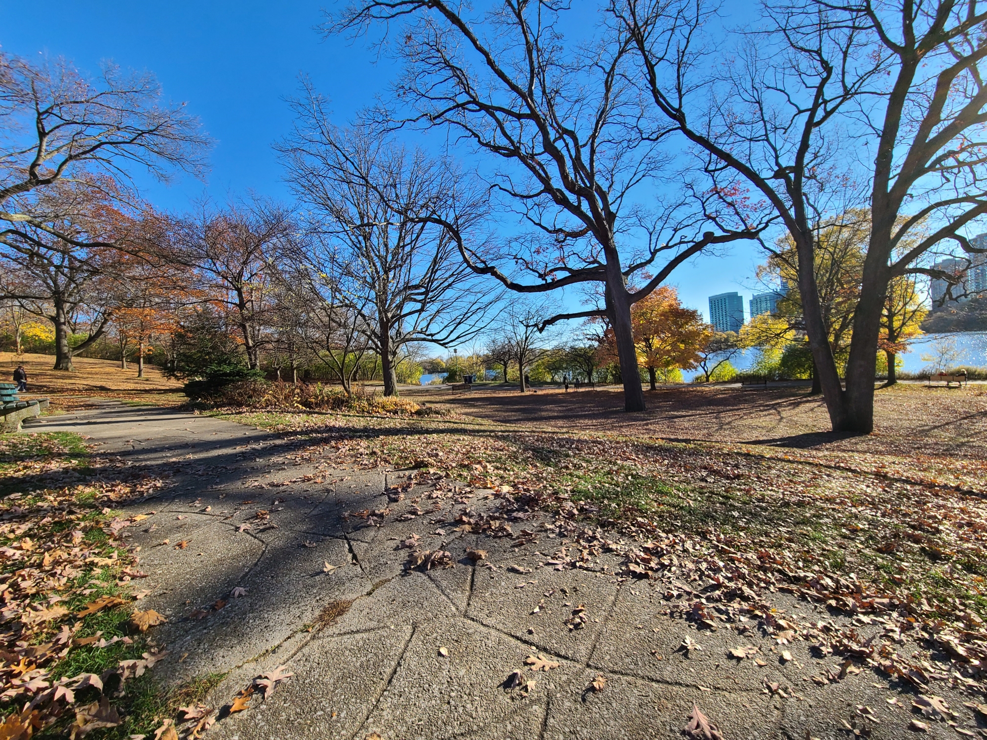 View in High Park by Grenadier Pond in early November in Toronto