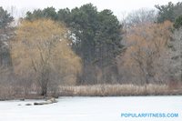 Frozen pond - High Park, Toronto